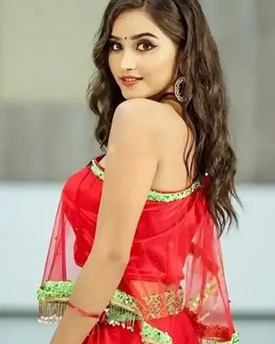 Escort In Timarpur
